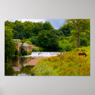 Horses in Pollok Park, Glasgow Poster