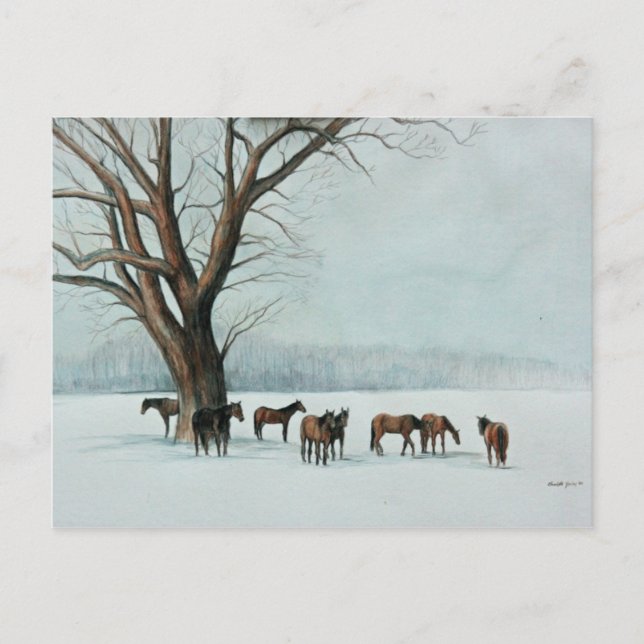 "Horses in Snow" Animal Art Postcard (Front)