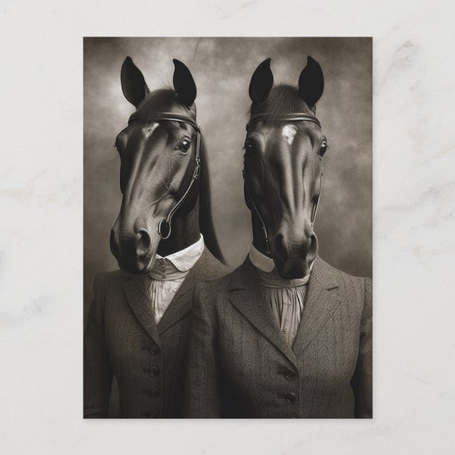 Horses in Suits Black and White Postcard (Front)