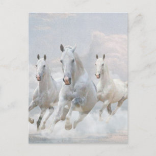 Horses in the clouds  postcard