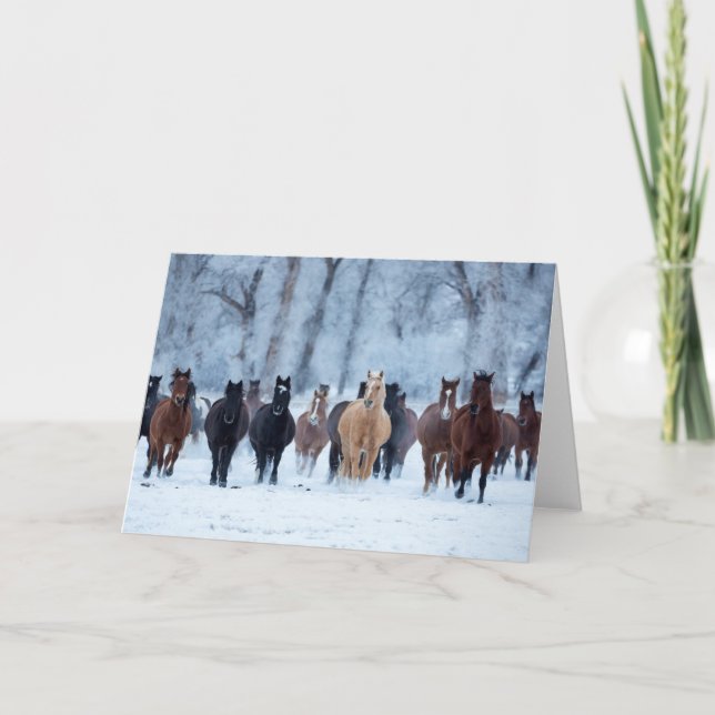 Horses in the Cold Card (Front)