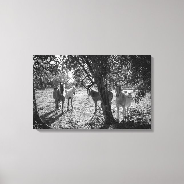 Horses in the Field Canvas Print (Front)