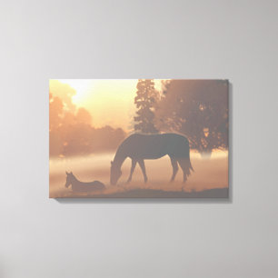 Horses in the Morning Fog Canvas Print