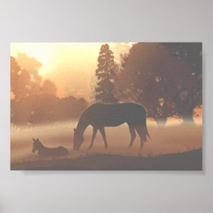 Horses in the Morning Fog Poster