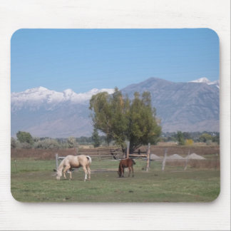 Horses In The Pasture Mouse Pad