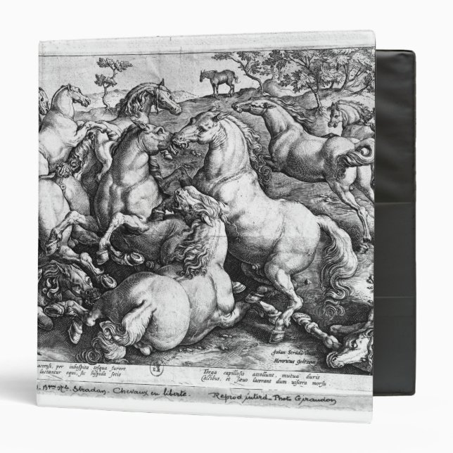Horses in the wild binder (Front/Inside)