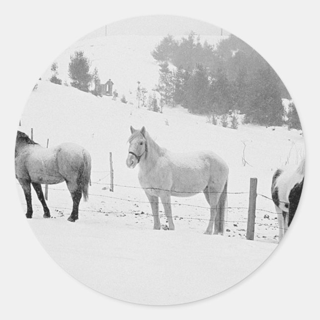 Horses In Winter Classic Round Sticker (Front)