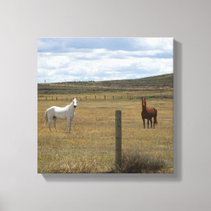 Horses in Wyoming Canvas