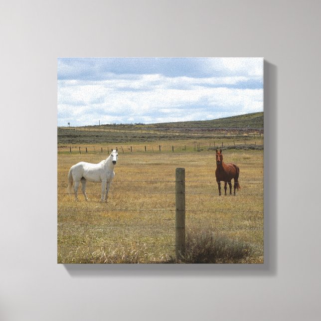Horses in Wyoming Canvas (Front)
