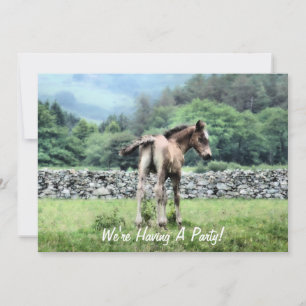 HORSES INVITATION