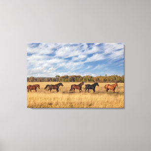 Horses Just Outside Grand Teton National Park Canvas Print