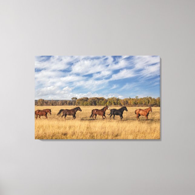 Horses Just Outside Grand Teton National Park Canvas Print (Front)