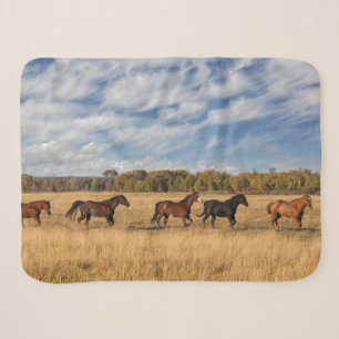 Horses Just Outside Grand Teton National Park Sherpa Blanket
