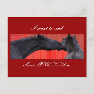 Horses & Love Postcard customizable