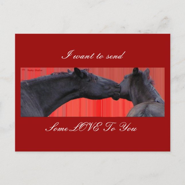 Horses & Love Postcard customizable (Front)