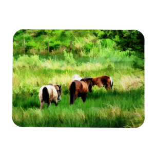 HORSES MAGNET