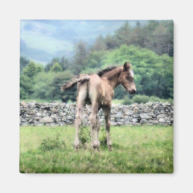 HORSES MAGNET (Front)