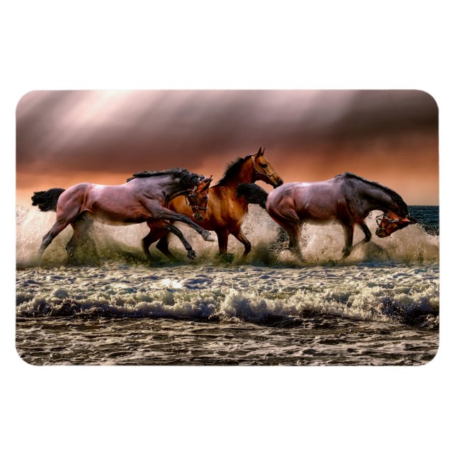 Horses Magnet (Horizontal)