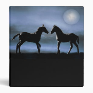 Horses making friends by moonlight binder