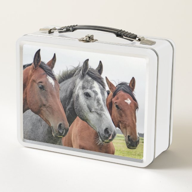 Horses Metal Lunch Box (Front)