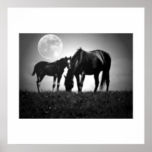 Horses & Moon Pop Art Square Poster Print