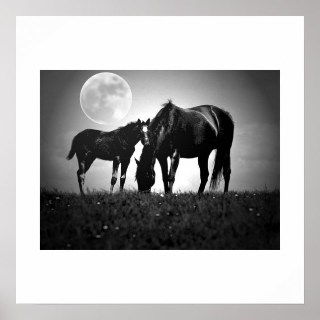 Horses & Moon Pop Art Square Poster Print (Front)
