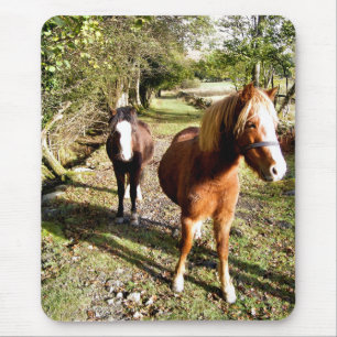 HORSES MOUSE PAD