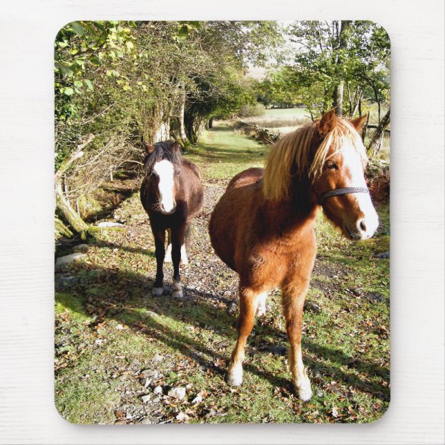 HORSES MOUSE PAD (Front)