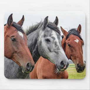 Horses Mouse Pad