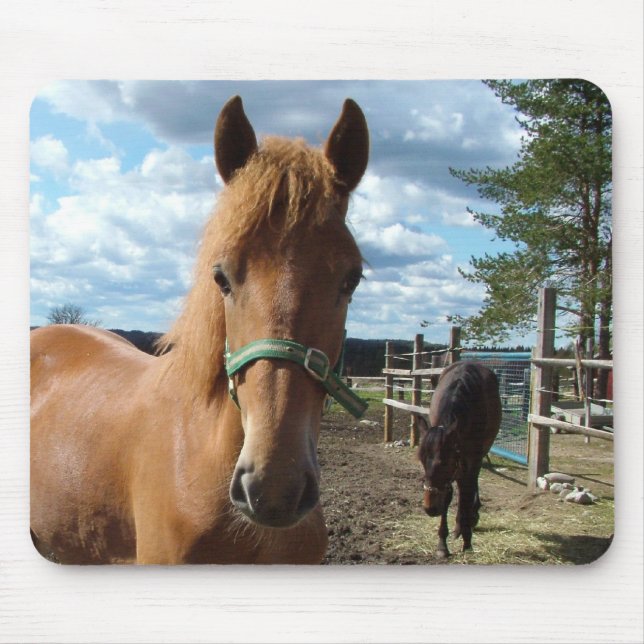 Horses mousepad (Front)