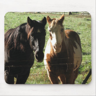 Horses Mousepad