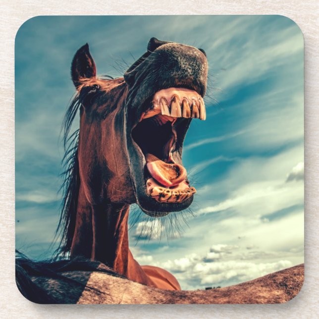 Horse's Mouth Teeth Neigh Wild Horse Animal Coaster (Front)