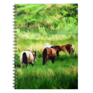 HORSES NOTEBOOK