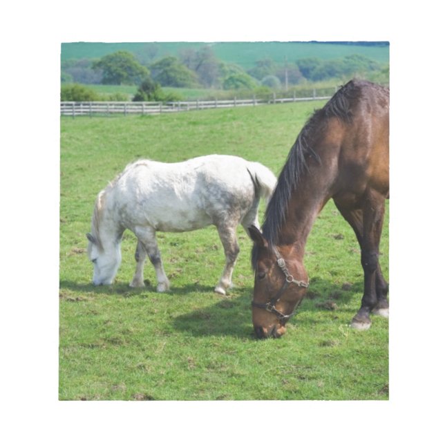 Horses Notepad (Front)