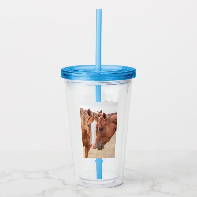 Horses nuzzling in a pasture acrylic tumbler (Front)