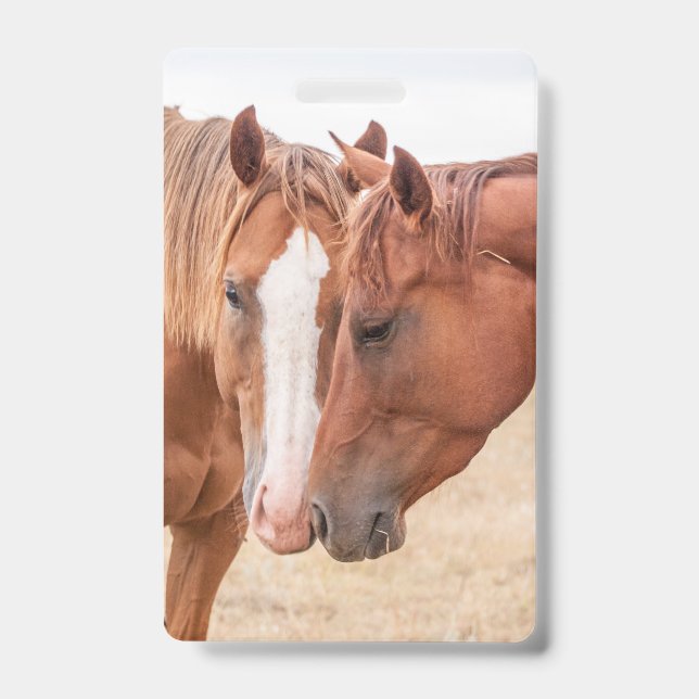 Horses nuzzling in a pasture badge (Front)