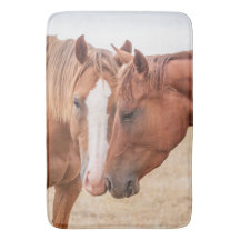 Horses nuzzling in a pasture
