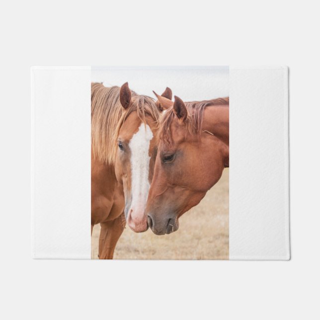 Horses nuzzling in a pasture doormat (Front)