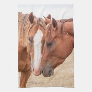 Horses nuzzling in a pasture kitchen towel