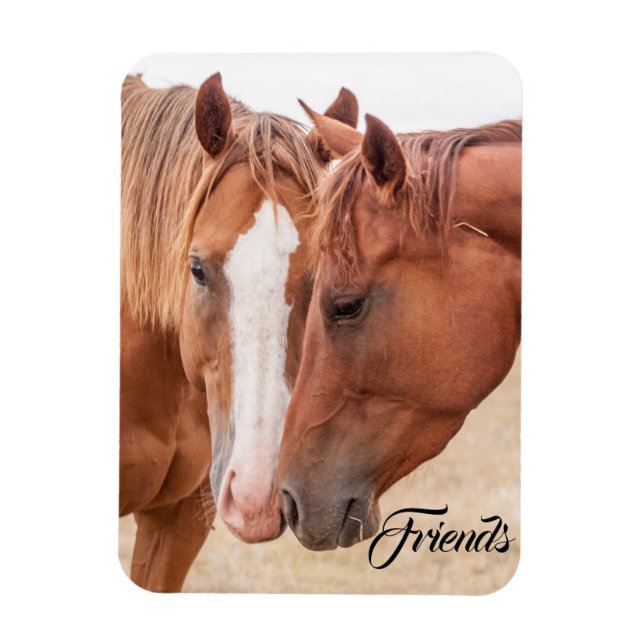 Horses nuzzling in a pasture magnet (Vertical)