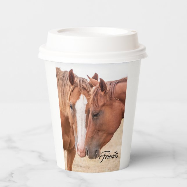 Horses nuzzling in a pasture  paper cups (Front)
