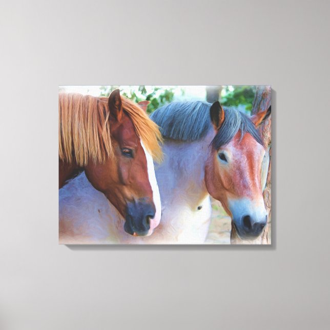 Horses Oil painting Canvas Print (Front)