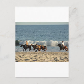 Horses on Beach Postcard