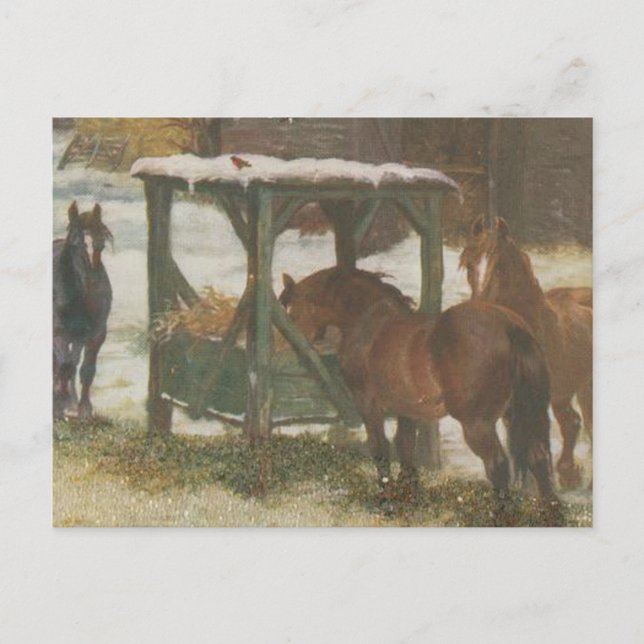 Horses on Christmas Day Holiday Postcard (Front)