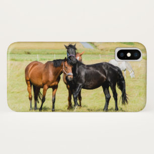 Horses on pasture 003 iPhone x case