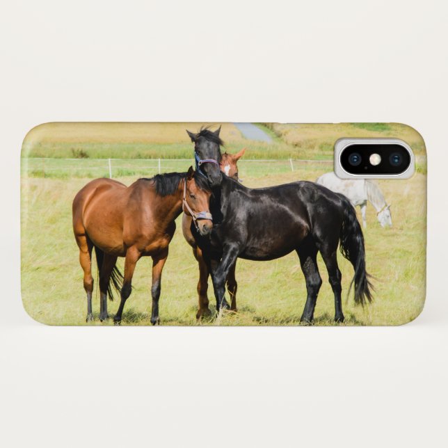 Horses on pasture 003 Case-Mate iPhone case (Back (Horizontal))