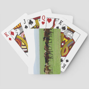 Horses on Pasture - Landscape Photograph Playing Cards