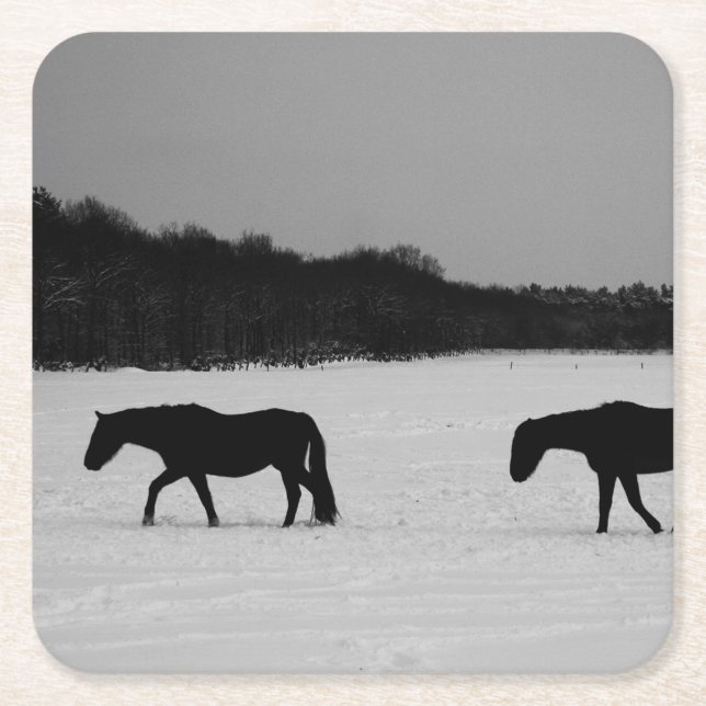 Horses On Snow coastercna Square Paper Coaster (Front)