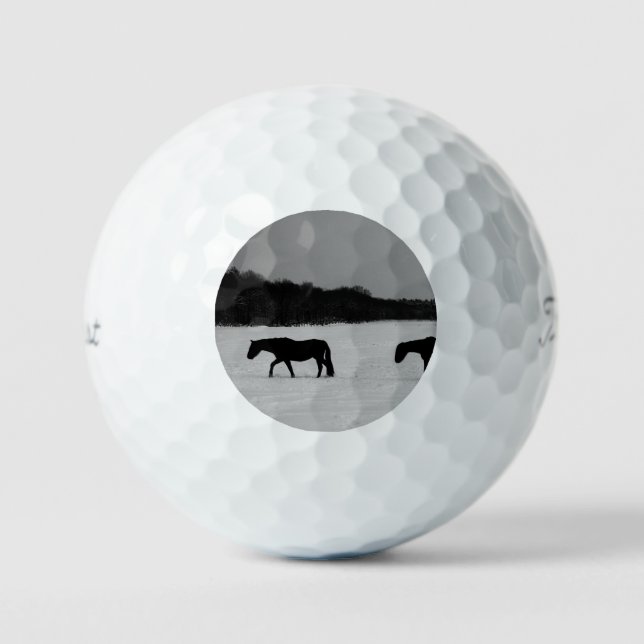 Horses On Snow tpv1 gbcna Golf Balls (Front)
