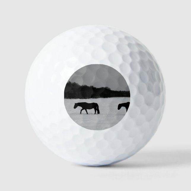 Horses On Snow va gbcna Golf Balls (Front)
